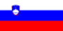 Slovenian